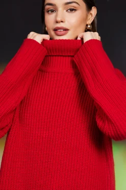 SKIES ARE BLUE Irene Turtleneck Sweater* Sweaters