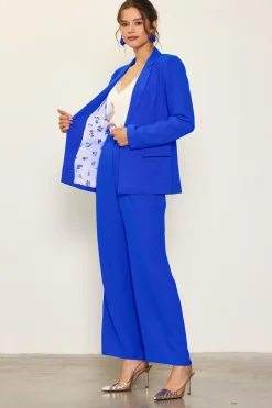SKIES ARE BLUE Pintuck Wide Leg Trousers* Pants