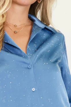 SKIES ARE BLUE Shimmery Button Down Blouse* Long Sleeve Tops