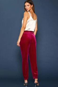 SKIES ARE BLUE Velvet Jogger Pants* Pants