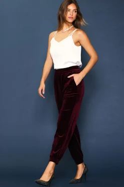 SKIES ARE BLUE Velvet Jogger Pants* Pants